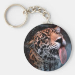 Feline Love Keychain