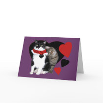 Feline Love You Greeting Card