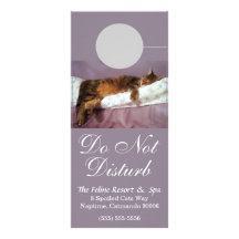 Feline Resort Do Not Disturb Custom Rack Card