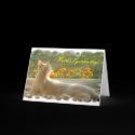Feline Sympathy Card