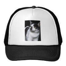 Felix Gorras De Camionero