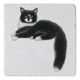 Felix the Tuxedo Cat Stone Trivet Trivets