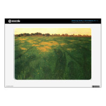 Felix Vallotton - Field of green oats Samsung Chromebook Decal