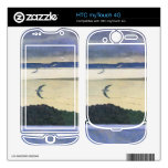 Felix Vallotton - Gulls Decal For HTC myTouch 4G