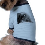 Feliz brillante camisetas de mascota