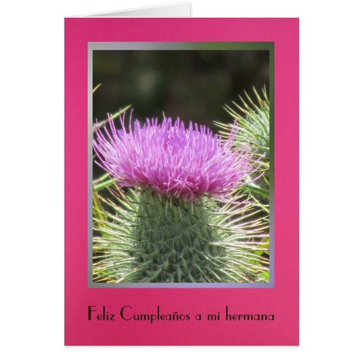 Feliz Cumpleaños a mi hermana - Rosa Greeting Card | Zazzle