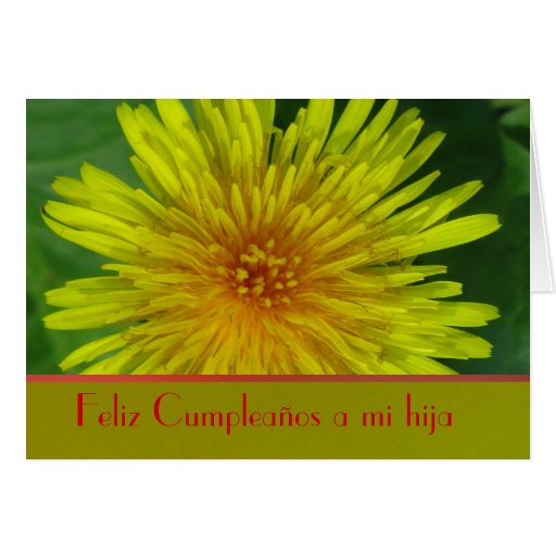 Feliz Cumpleaños a mi hija Diente de León Card Zazzle Feliz Cumpleaños a mi hija Diente de León Card Zazzle