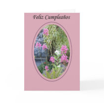 Feliz Cumpleaños cards