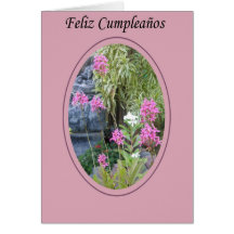 Feliz Cumpleaños Card