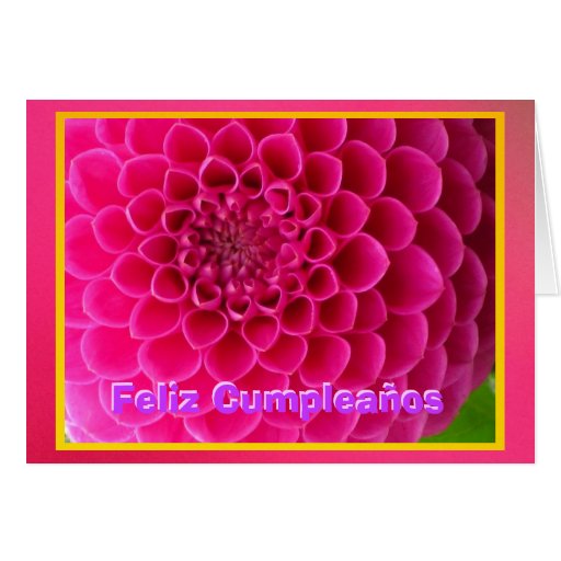 feliz cumpleaños rosa