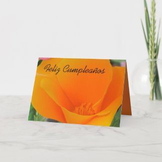 Feliz Cumplea&#241;os - Orange California Poppy Cards