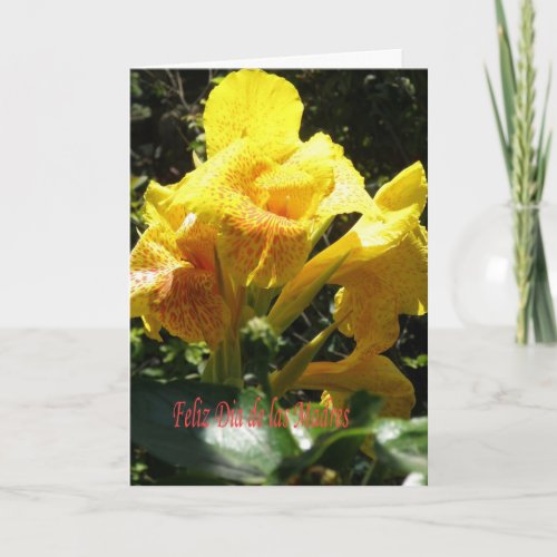 feliz dia de las madres greeting card