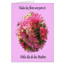 Feliz Dia de las Madres Card