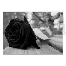 Feliz día de las Madres - Happy Mothers day Greeting Cards
