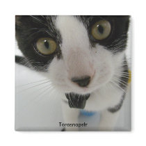 Feliz gaze magnets by torasnapsfr Feliz gaze magnets