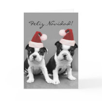 Feliz Navidad Boston Terriers greeting card