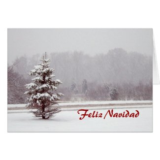 Feliz Navidad Merry Christmas in Spanish and snow Greeting Card
