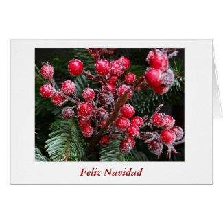 Feliz Navidad Merry Christmas in Spanish berries Greeting Cards