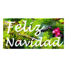 Feliz Navidad Photo Greeting Card