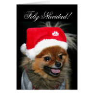 Feliz Navidad Pomeranian greeting card