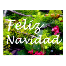 Feliz Navidad Postcard