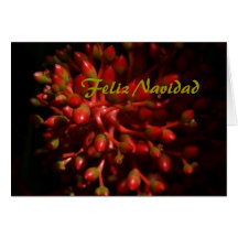 Feliz Navidad Tarjeton