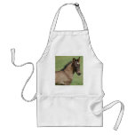 Fell Pony Foal Sapphire aprons