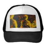 Felt Not Seen Hat