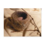 Felted Nest II Postcard