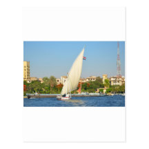 Felucca On The Nile Postcard