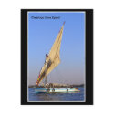Felucca Postcard postcard