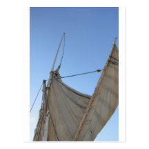 Felucca Sail Postcard