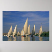 Feluccas on River Nile, Aswan (Egypt) Prints