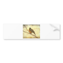 Female American Robin Bumper Stickers