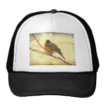 Female American Robin Hats