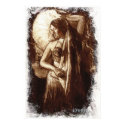 Female Belly Dancer with a Veil posters