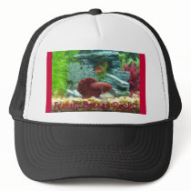Female Bettas Rock!! Hat