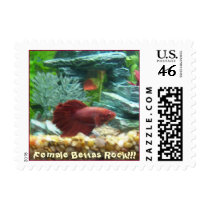 Female Bettas Rock!!! Postage