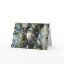 "Female Bluebird" cards