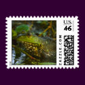 Female Bullfrog postage by PhotoWolf Female Bullfrog postage