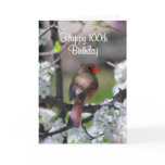 Female Cardinal 100th Birthday