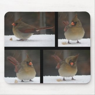 Female Cardinal Bird Mousepad mousepad
