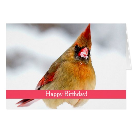 female-cardinal-custom-birthday-card-zazzle