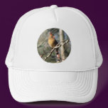 Female Cardinal Hat