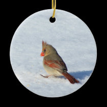 Female Cardinal in Snow Ceramic Ornament ornaments