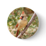 Female Cardinal on Branch Pins