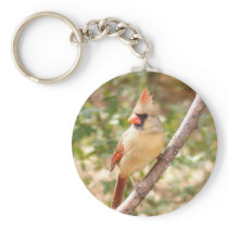 Female Cardinal on Branch keychains