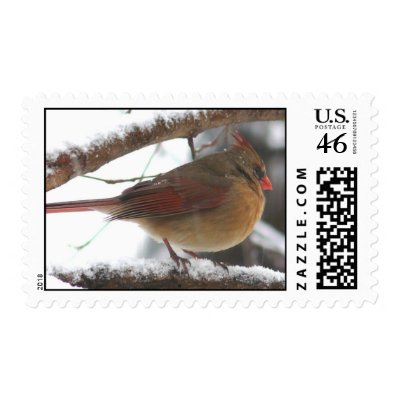 female cardinal Postage