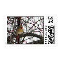 Female Cardinal Stamp stamps