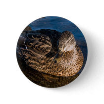 Female duck buttons